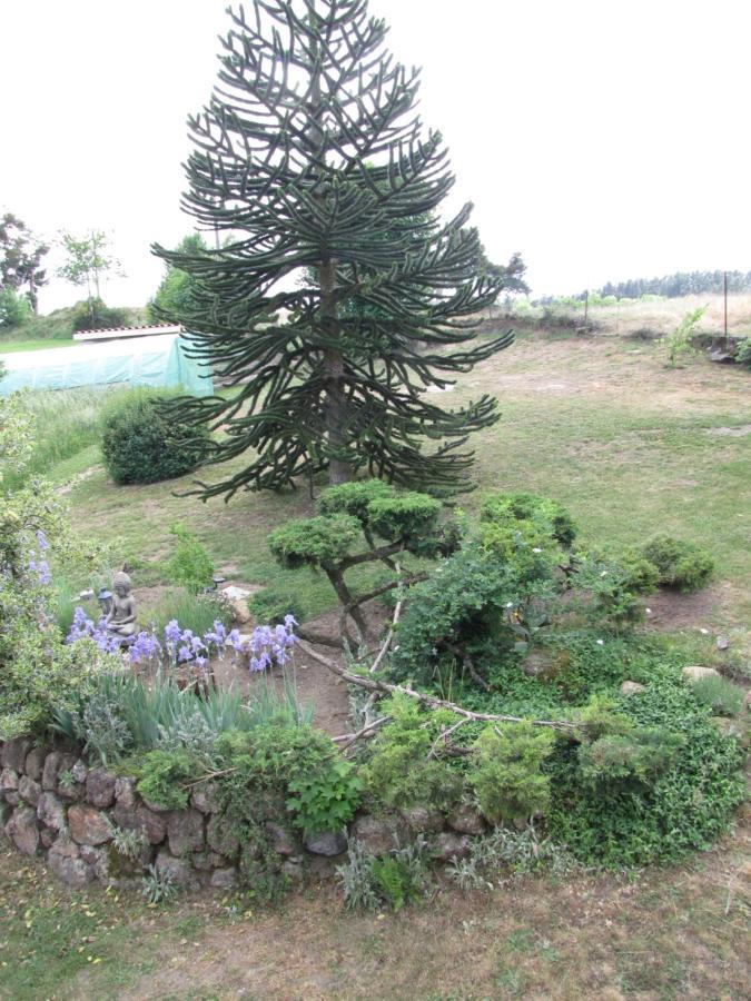 Chez Sophie Et Gilles Bed and Breakfast Monistrol-sur-Loire Buitenkant foto